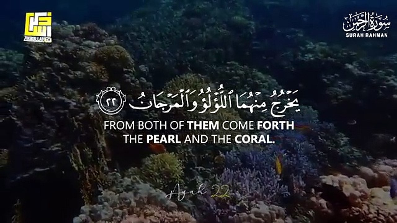 World s most beautiful recitation of Surah Ar-Rahman (سورة الرحمن)  _ Zikrullah TV