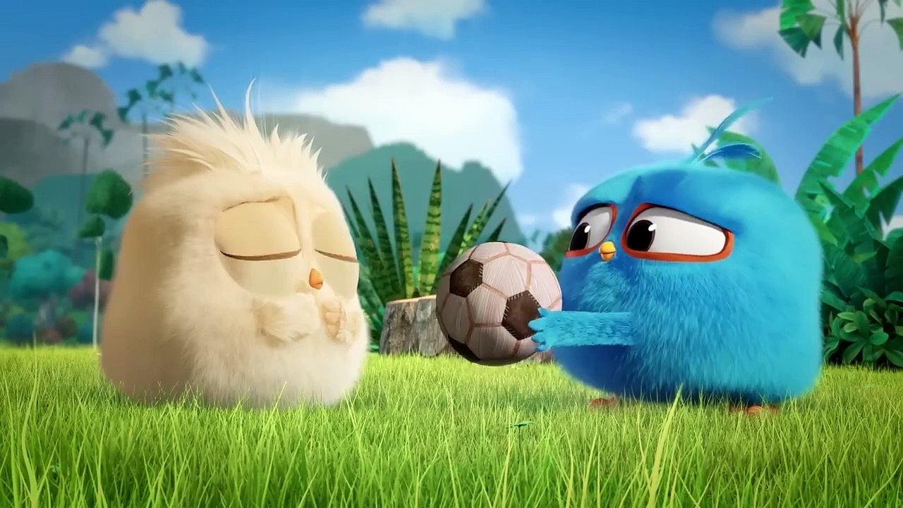 Angry Birds _ Cuteness Overload 💖