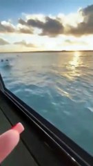 Urgente: Resgate de Pescador no Rio Tejo 🚤