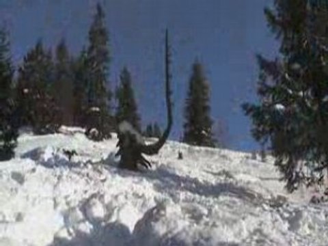 Snowboard, portes du soleil, CHATEL(74)