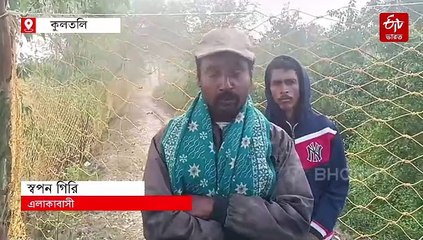 বাঘের আতঙ্কে দ্বিতীয় দিন বনদপ্তরের কর্মীদের সঙ্গে লুকোচুরি আতঙ্কিত এলাকাবাসীরা