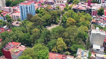 Papás por conveniencia Capitulo 57 Completo HD