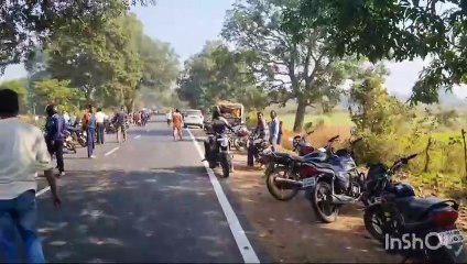 खेतो की बाढ़ में फसी मादा तेंदुआ