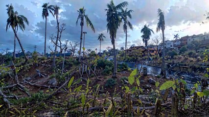 Bilan environnemental à Mayotte : trois semaines après le cyclone Chido