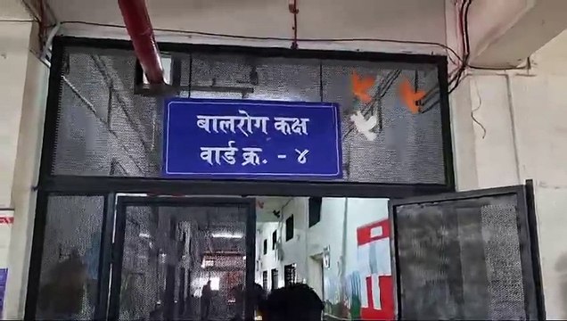 HMPV या व्हायरस च्या पार्श्वभूमीवर जळगाव जिल्हा आरोग्य यंत्रणा अलर्ट मोडवर आली असून सज्ज असल्याच पाहायला मिळत आहे