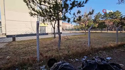 Sevdiği köpeğin ısırdığı ortaokul öğrencisi yaralandı