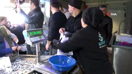 Hopa'da 30 liralık hamsi uzun kuyruklar oluşturdu