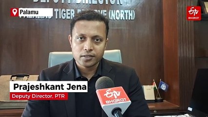 Over 180 Bird Species Flock To Jharkhand’s Palamu Tiger Reserve