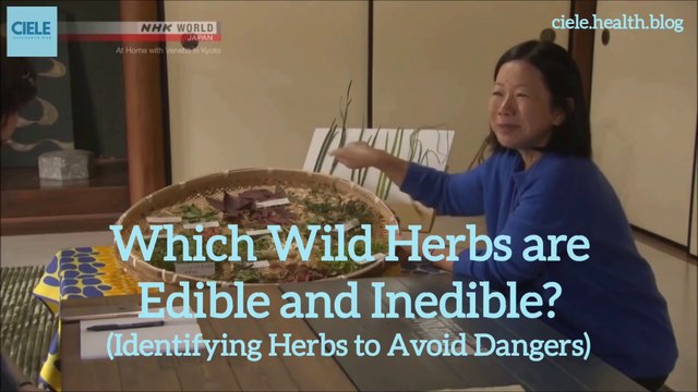 Which Wild Herbs are Edible and Inedible_ (Identifying Herbs to Avoid Danger