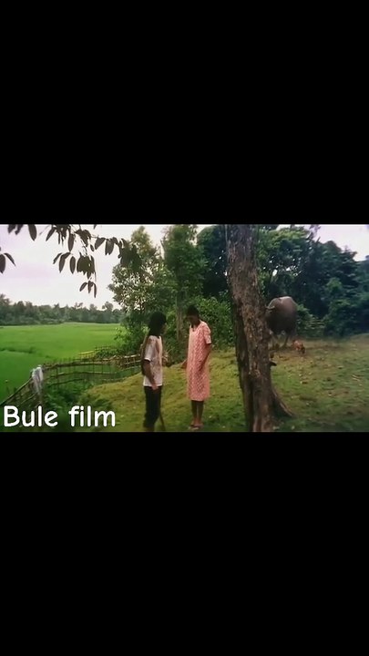 Super Hit Movie Scene