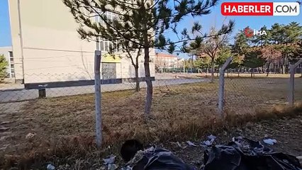 Sevdiği Köpek Tarafından Isırılan Öğrenci Yaralandı