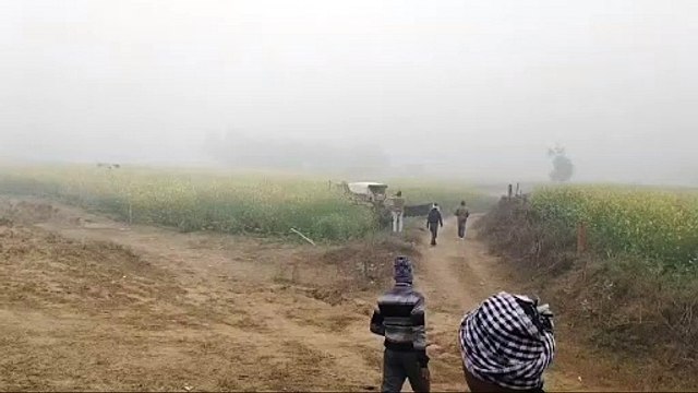 भूमाफियाओं के खिलाफ प्रशासन की बड़ी कार्रवाई, 140 बीघा जमीन को अतिक्रमण से कराया मुक्त, गेहूं सरसों और आलू की खेती कर रहे थे माफिया