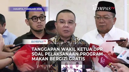 Respons Wakil Ketua DPR Dasco soal Pelaksanaan Program Makan Bergizi Gratis