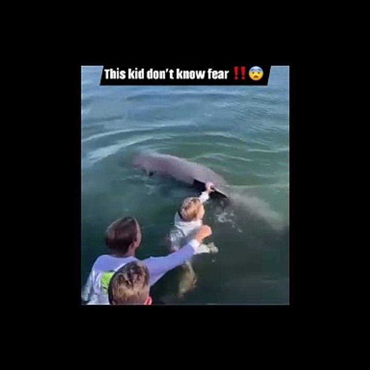 Ce gamin s'accroche à un dauphin pour nager... même pas peur