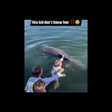 Ce gamin s'accroche à un dauphin pour nager... même pas peur