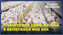 EUA registra primeira morte humana por gripe aviária