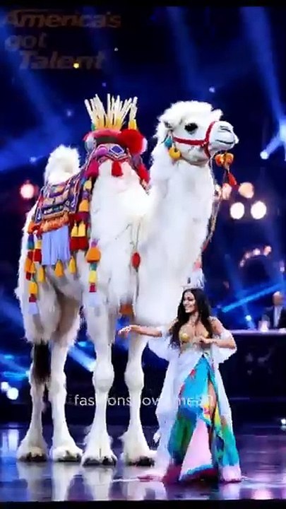 AIG amazing dance video  image collection 27