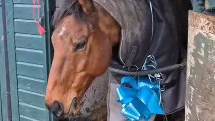 Girl who asked for pajamas for Christmas ends up receiving her childhood dream!