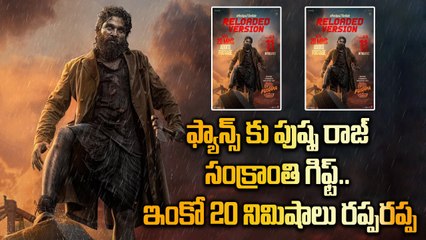 Pushpa2 The Rule : ఫ్యాన్స్ మళ్లీ సినిమా చూడాల్సిందే | Pushpa2 Reloaded | Filmibeat Telugu