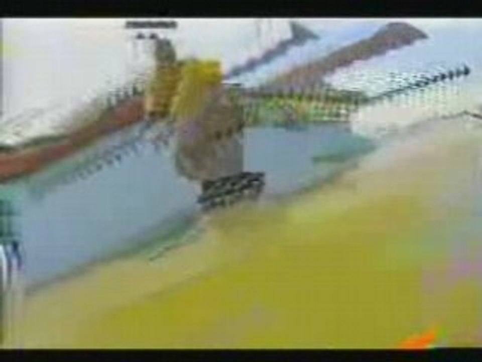 skate-rodney mullen- fuck rodney style