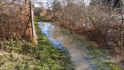 Flood alert issued for the South Forty Foot Drain, Boston