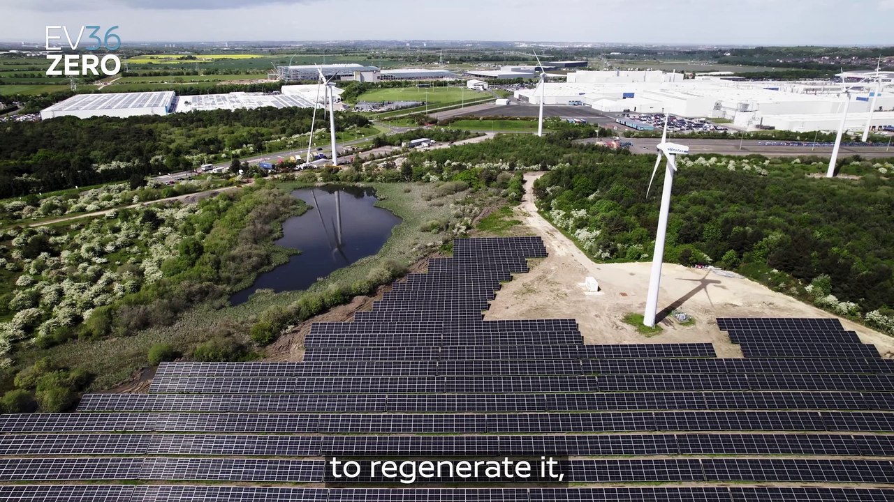 Nissan engineers create 'thriving' new wildlife habitat at manufacturing plant with deer and birds of prey spotted