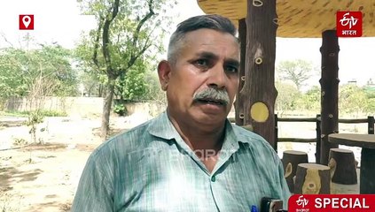 अलवर में बन रहा 'ग्रीन लंग्स पार्क', 4 हजार से ज्यादा पौधे देंगे लोगों को सुकून