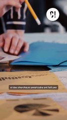 Tout savoir sur la transformation des âges chez les chiens 🐶 : La vérité derrière la mythe des 7 ans