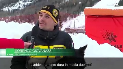 Sciare in sicurezza, dalla Gdf dimostrazioni di soccorso