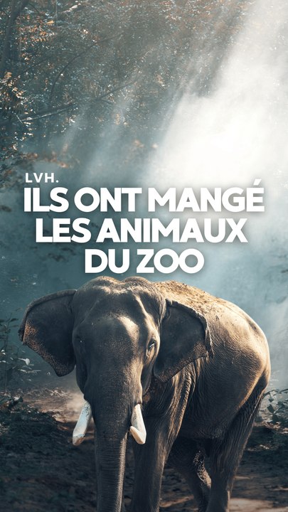 Des Parisiens ont tué et mangé des éléphants !
