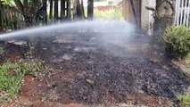 Incêndio em vegetação mobiliza equipes do Corpo de Bombeiros
