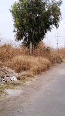 Autobús intentó ganarle el paso al tren y no alcanzó: hay 2 heridos