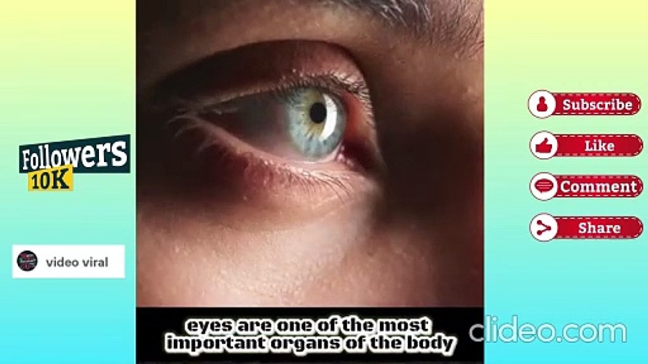 This is How Human Eye Works #Shorts #shortsfeed #trendingshorts #viralvideoshorts #viralvideo #yt