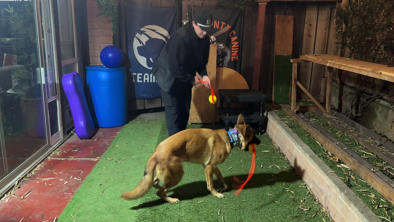 Play time with Dory