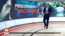 esperan llegadas de vacunas