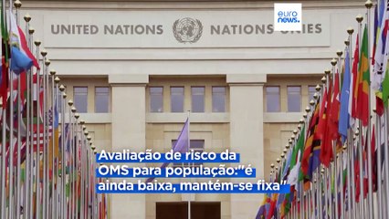 OMS diz que o risco de contágio por gripe das aves é “ainda baixo"