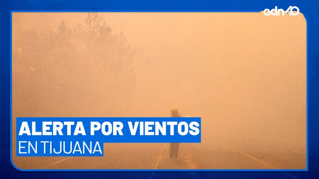 Alerta por vientos en Tijuana, Baja California; podría provocar caída de árboles y postes