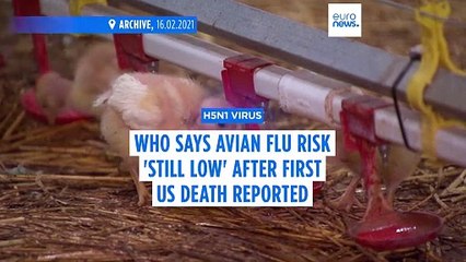 WHO says risk of bird flu 'still low' after US reports its first human death