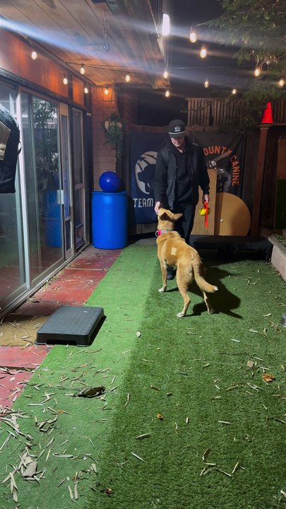 Kilo Training and Play