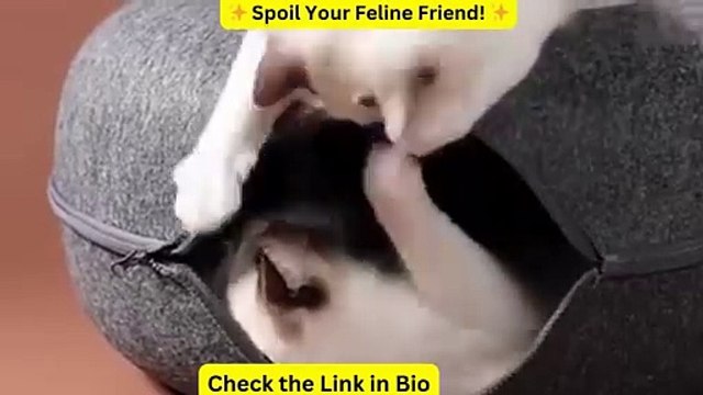 Donut Cat Bed Pet Cat Tunnel Interactive Game Toy Cat Bed Dual-use Indoor Toy Kitten Sports Equipment Cat Training Toy Cat House