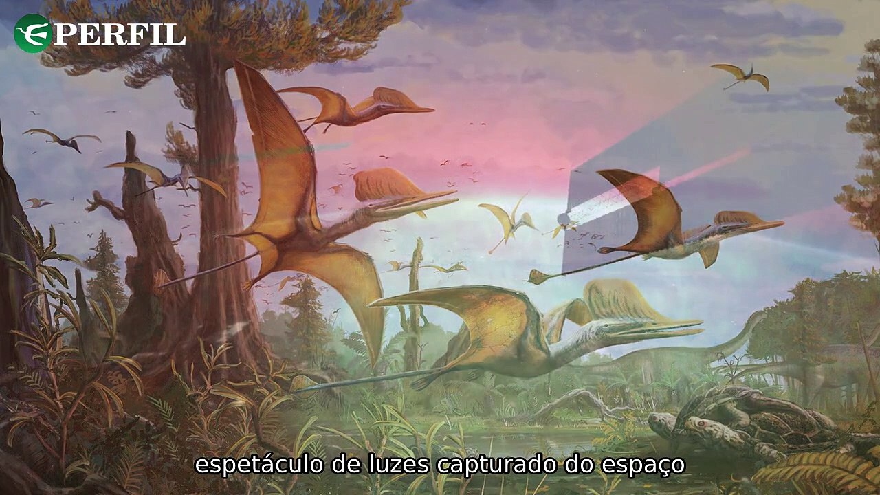 "Segredos dos dinossauros voadores, aurora boreal e relógio histórico restaurado: novidades impressionantes!"