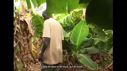 Les Voix croisées (2022) - Bande annonce