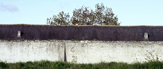 Théret n°487 (2024) - Bande annonce