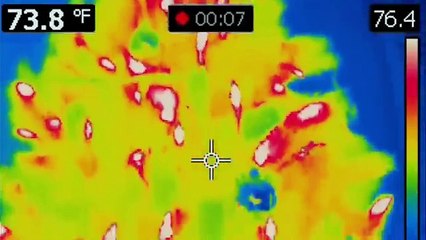 la niebla película completa en latino