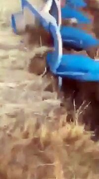 Ursus (Yozgat Sorgun)