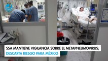 SSa mantiene vigilancia sobre el metapneumovirus; descarta riesgo para México