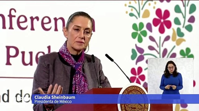 Presidenta Sheinbaum dice que no hay evidencias de que se produzca fentanilo en México