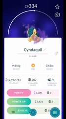 Pokémon GO-Purifying Shadow Cyndaquil