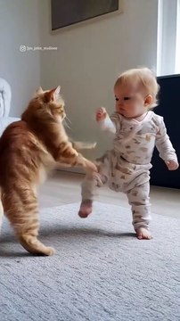 Will the diaper dynamo outmaneuver the cat_s claws of fury_ or is this the ultimate showdown for Tiny Titan_ 😱💥__Stay tuned for more action-packed battles as our little legend takes on the a(