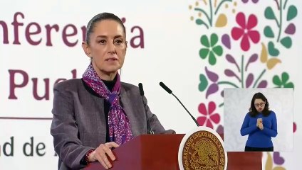 Sheinbaum niega que en México ocurra "todo el proceso" de producción de fentanilo